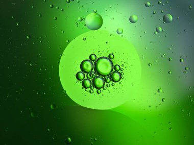 Güzel soyut baloncuklar suda yağ ile yeşil parlak bulanık arka plan, makro görüntü, tatlı renk, damlacıklar