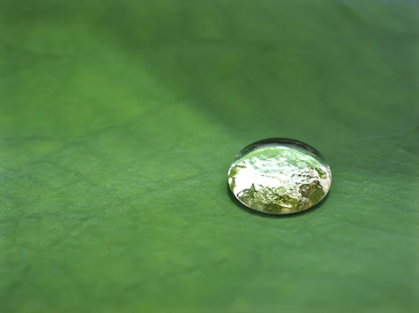 Primer Plano Gota Agua Brillante Hoja Verde Con Fondo Borroso —  Fotos de Stock