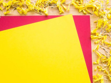 Sarı ve kırmızı kadife çiçekli çerçeve ve ahşap kaplama. Metin ve makale yaz tatili için metin alanı olan en üstteki görünüm