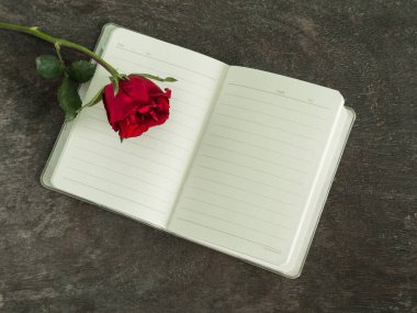Aşk ya da sevgililer günü için ahşap arka planı olan boş beyaz kitaptaki kırmızı gül..