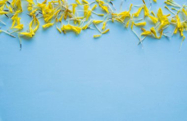 Mavi kağıda kadife çiçekli çerçeve. Metin ve makale yaz tatili seyahati için fotokopi alanı olan üst görünüm.