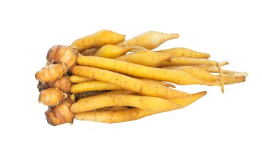 Boesenbergia rotunda beyaz arka planda izole edildi. Bitkisel ilaçlar ve Tayland yemekleri konsepti..