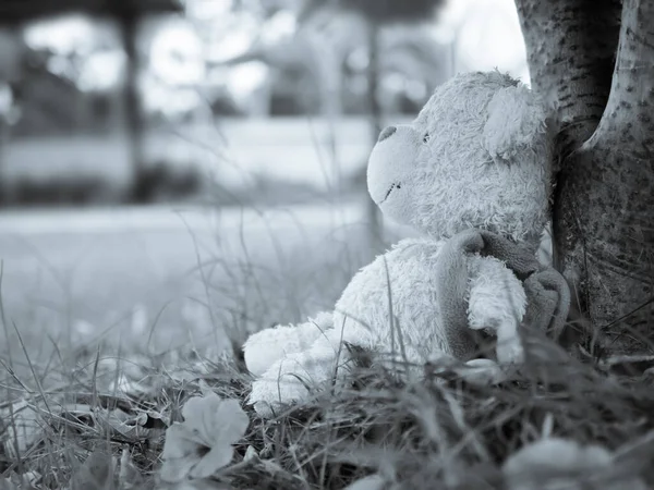 Sonbahar ormanlarının yapayalnız atmosferinde ağaçların altında otlarla oturan siyah ve solgun ayı görüntüsü. kırık kalp kavramı.