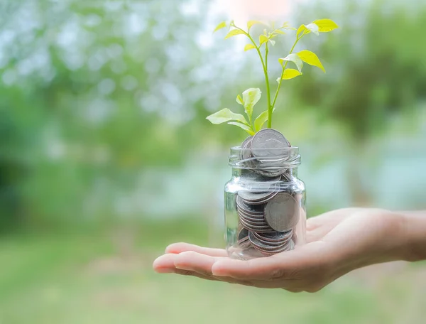 Future plan saving money for 2021 year concept. Close up hand holding coin and small tree in Glass bottle with green blur background.