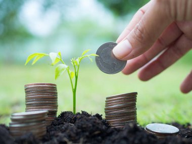 Elle tutulan bozuk paralarla toprak üzerinde bulanık resim arkaplanı.