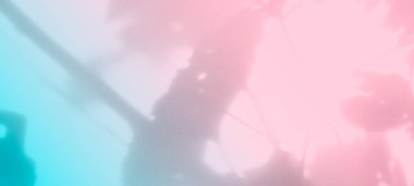 Gölge Pembesi Pembesi Gradyan Arkaplan Görünümü Görüntü Bulanık Gradyan Açık Pastel Soyut Lüks Mockup Şeftali Renk Arkaplan Şablonu Yaz Baharı Yaprak Kaplama Doğası 