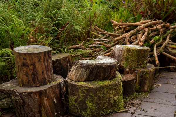 Kış için depolanmış odun