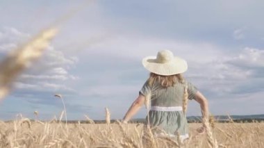 Buğday Tarlasında Koşan Elbiseli Kadın. Güzel kız doğanın tadını çıkarıyor.