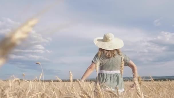 Model Woman in Dress Running on Wheat Field. Beauty Girl Outdoors Enjoying Nature — Stock Video