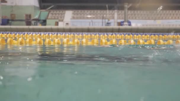 Un nageur professionnel s'entraîne en nage libre en piscine et respire profondément — Video