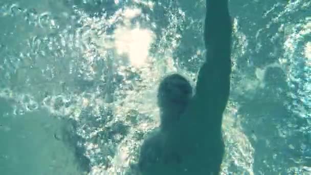 Treni Professionali Nuotatori Freestyle in Piscina. Tecnica di nuoto — Video Stock