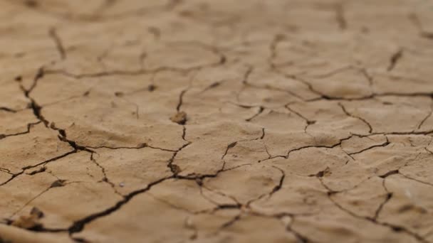 Seca. Terra rachada sob raios de escorregamento do sol, solo seco — Vídeo de Stock