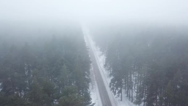 Dichter Nebel auf Landstraße im nebligen Wald — Stockvideo