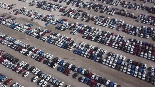 Samochodowy Rynek lub Parking Pojazdy Gotowe do dalszej dystrybucji — Wideo stockowe