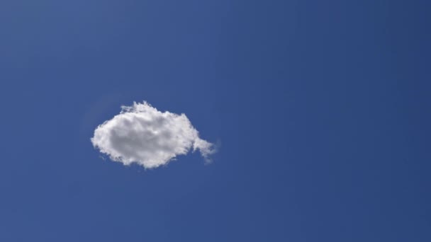 Fast Billowing Toenemende Lone Cloud Geïsoleerd op Heldere Zachte Blauwe Lucht, Time Lapse. Concept van zuiverheid en lichtheid — Stockvideo