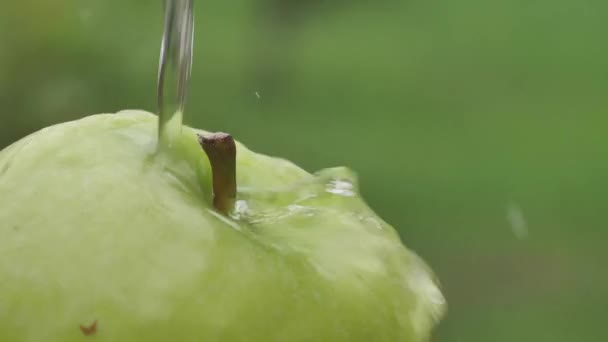 Mogen saftig grön äpple — Stockvideo
