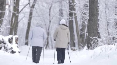 Yaşlı kadınlar kış ormanlarında yürüyorlar. Kar yağışı, dikiz manzarası...