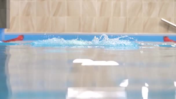 Úszómedencében mellúszást végző profi úszó — Stock videók