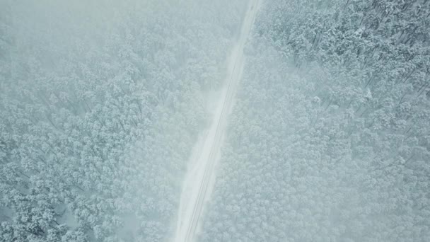 Estático disparo a través de la niebla y las nubes en la carretera del campo cuando el coche está conduciendo, paisaje del bosque de invierno — Vídeos de Stock