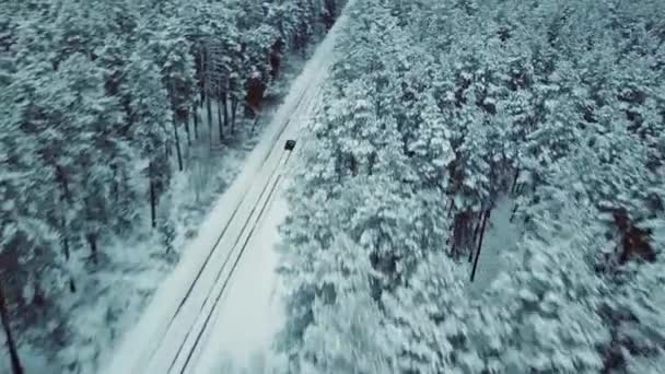 Drone przy dużych prędkościach ścigać samochód na śnieżnej drodze kraju w lesie świerkowym, ramki kinematograficzne — Wideo stockowe