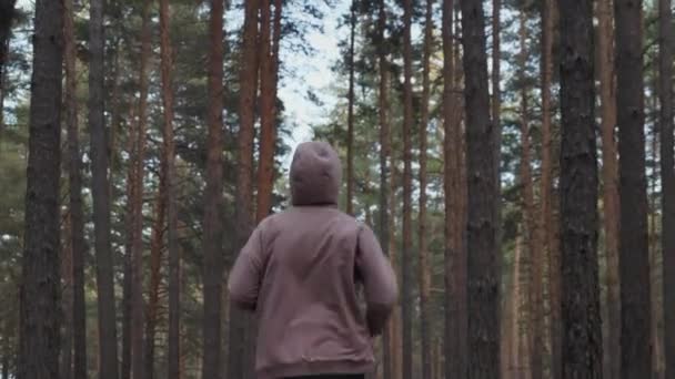 夕暮れ時の松林の中を走る若いアスレチック女性 — ストック動画