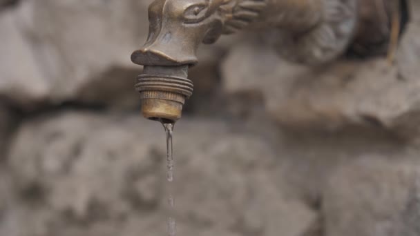 Kranówka z kroplami wody Falls. Koncepcja zużycia i niedoboru wody — Wideo stockowe