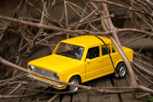 Sarı küçük araba ağaç dalları arasında seyahat ediyor.