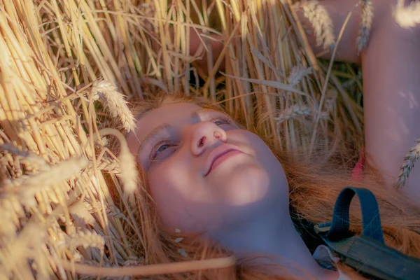 Güzel genç kız buğday tarlasında yatıyor.