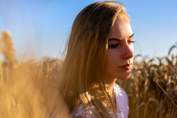 Güneşli bir günde buğday tarlasında oturan genç bayan.