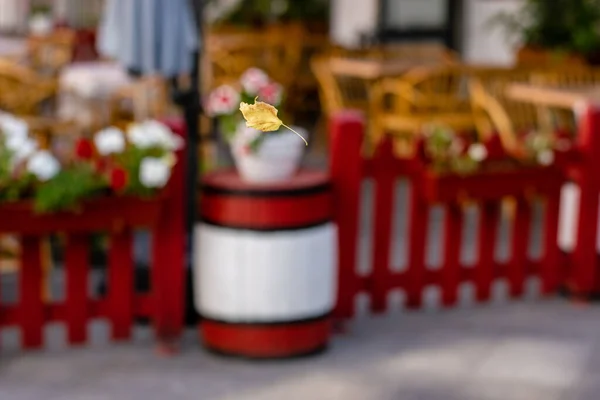 Sokağın ortasındaki restoranın bulanık kırmızı arka planında sarı yaprak.