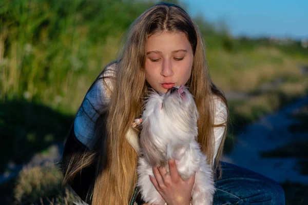 若いですティーン女の子とともに彼女の白い犬遊び外と感じ幸せな ロイヤリティフリーのストック画像
