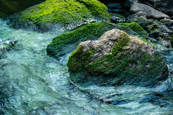 Stenen Met Groen Mos Tussen Helder Blauw Water Stromen — Stockfoto