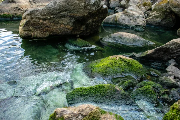 Brzeg Tamy Kamieniami Pokrytymi Mchem — Zdjęcie stockowe