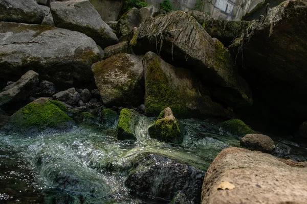 Taşların arasından akan su yeşil yosunlarla kaplıdır.