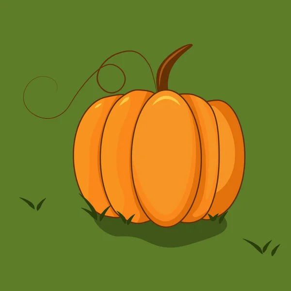 Autumn Halloween Thanksgiving Pumpkin Curly Stems Vector — Stock Vector