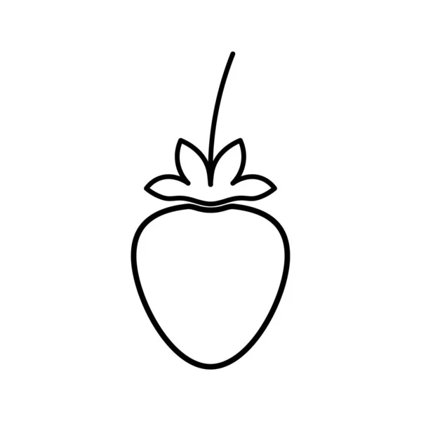 Illustration Vectorielle Contour Fraise Dans Style Minimaliste Sur Fond Blanc — Image vectorielle