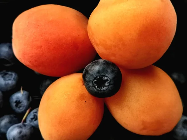 Flower Fruits Berries — Stock Photo, Image