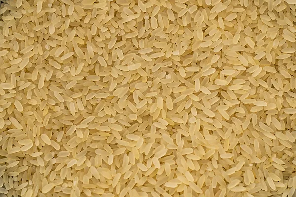 Molto bello sfondo di riso al vapore cereali — Foto Stock
