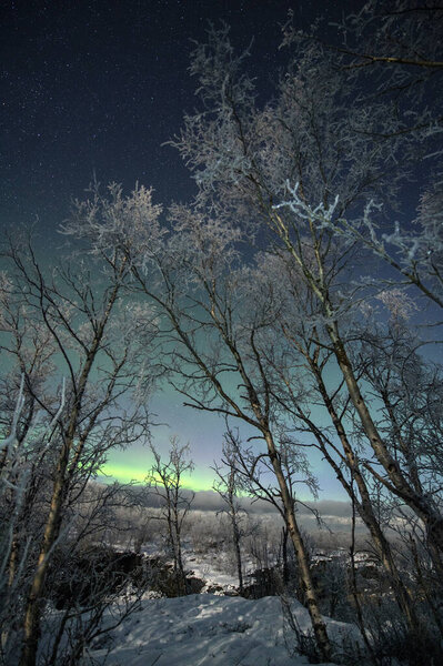 Aurora Borealis Northern Lights near Abisko and Lake Tornetrask in Arctic Sweden. High quality photo