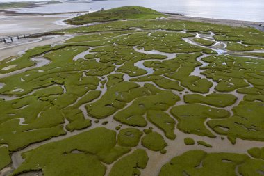 An aerial drone image of Mulranny salt marsh with sheep grazing in County Mayo, Ireland. High quality photo clipart