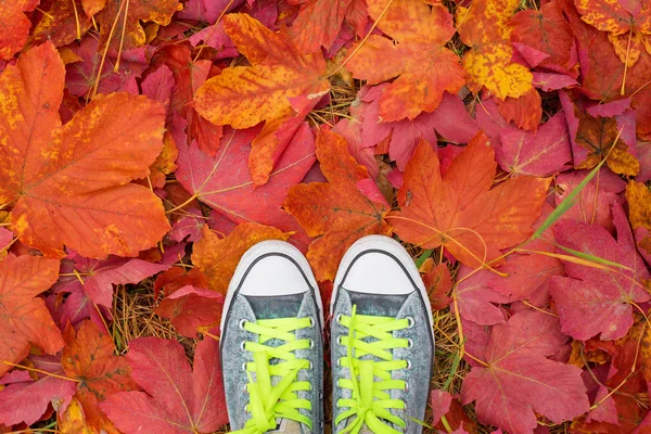 Persona Pie Sobre Hojas Caídas Otoño — Foto de Stock