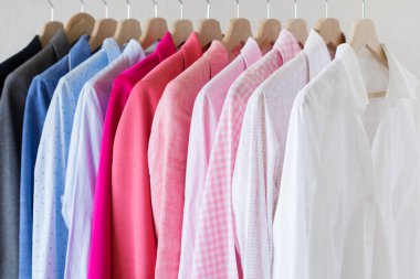 Raf birçok forması