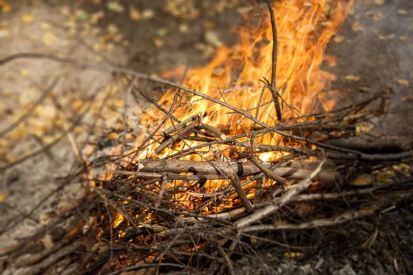 Inflaming the fire. Fire. The fire in the forest. Burning branches