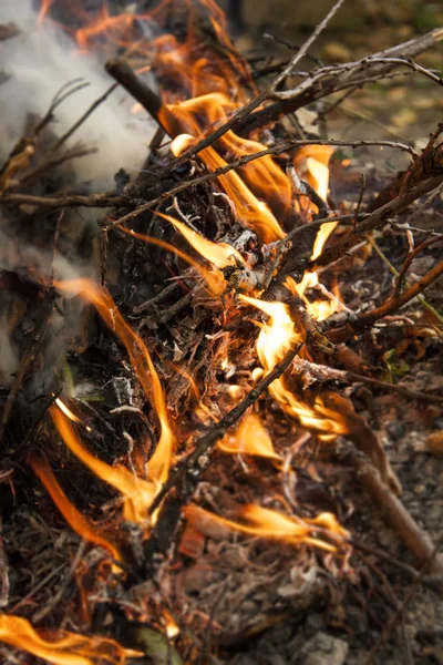 Inflaming the fire. Fire. The fire in the forest. Burning branches