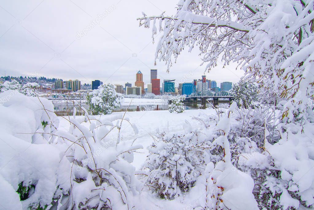 Snowy Landscape of Portland Oregon USA