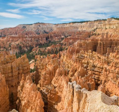 Güzel manzara Bryce Canyon Milli Parkı