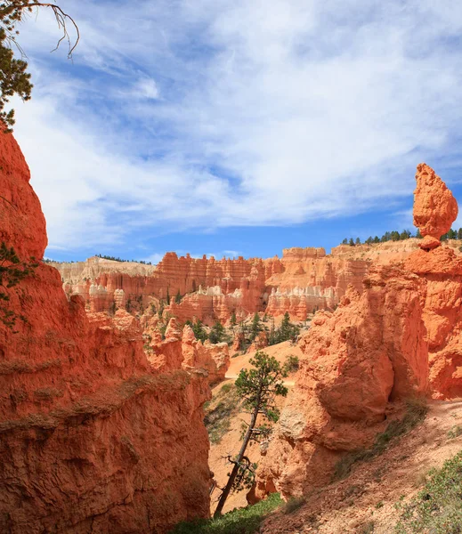 Wunderschöne Landschaft Des Bryce Canyon Nationalparks — Stockfoto