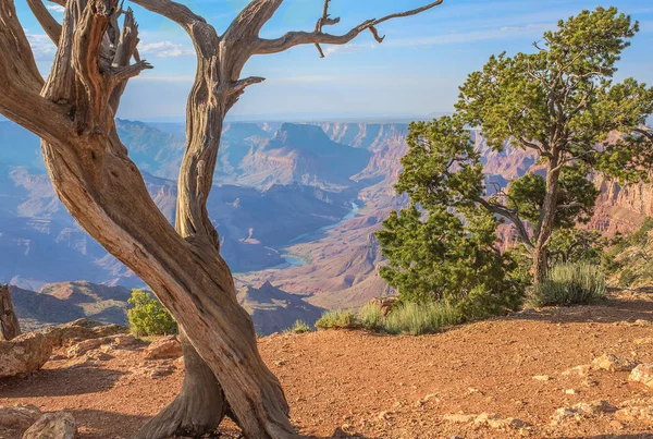 Beautiful Landscape of Grand Canyon from Desert View Point during dusk