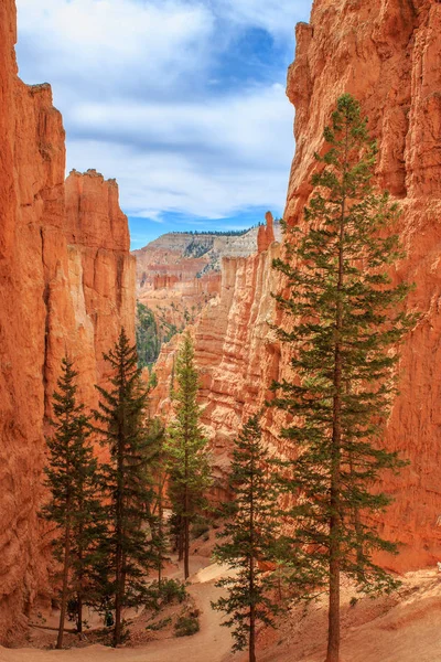 Bela Paisagem Parque Nacional Bryce Canyon — Fotografia de Stock