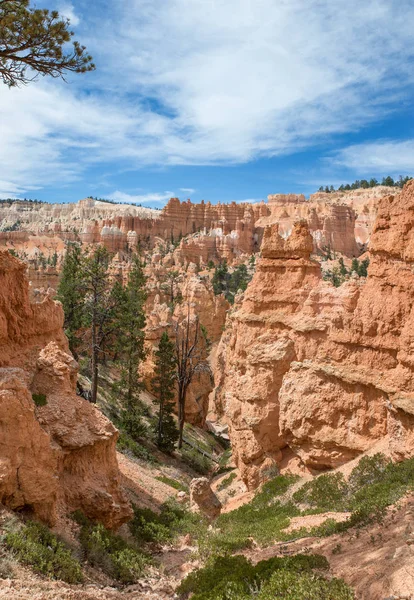 Bryce Canyon Utah Usa — Stockfoto